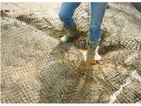 Use of Geogrid for passing swampy areas