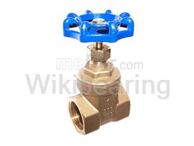 Gate Valve Iran