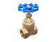 Gate Valve Iran