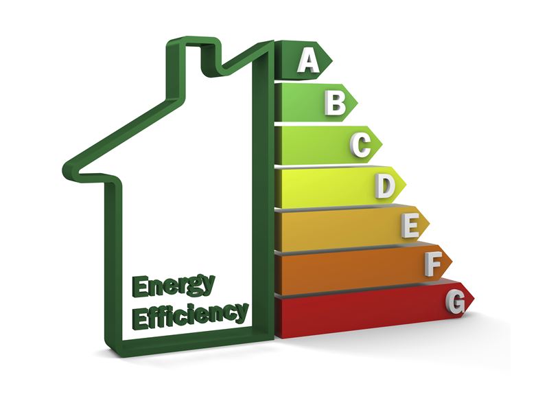 energy pajooh company