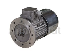 Brake Type motors