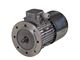 Brake Type motors