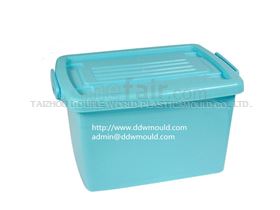 DDW Plastic Storage Box Mold Storage Box Plastic Mold