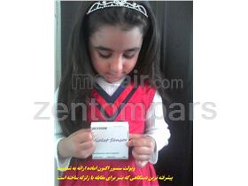 Earthquake Sensor violet sensor v.18