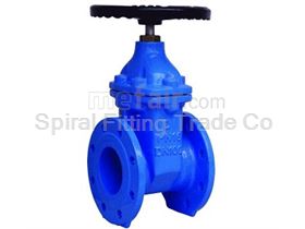 Spiral Fitting Cast Iron Valves