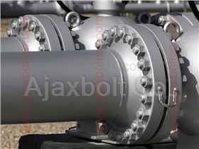 Oil and Petrochemical bolts and fasteners