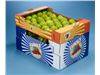 Manufacturer Corrugated box for fruit and vegetable in Iran