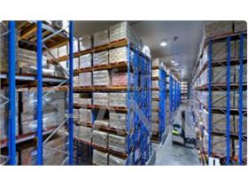 Beef casing , Beef penis ,  Beef testicle , Beef omasum