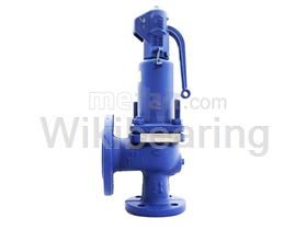 Safety Valve Iran