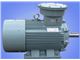 Yb3 Series Explosion-Proof Induction Motor