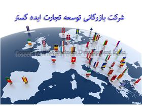 Wide Business Development Ideas