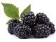 Blackberry Juice Concentrate