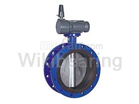 Butterfly Valve without Flange Iran