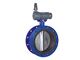 Butterfly Valve without Flange Iran