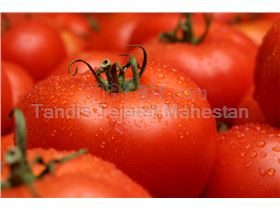 TTMFOOD Aseptic Tomato Paste