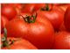 TTMFOOD Aseptic Tomato Paste