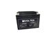 Sealed lead Acid Battery . Voltex