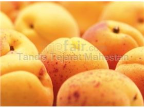 TTMFOOD Aseptic Apricot Puree