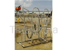 Cow hoof trimming box