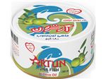 Canned tuna in olive oil