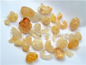 Persian Gum (Gum Zedo, Mountain almond Gum)