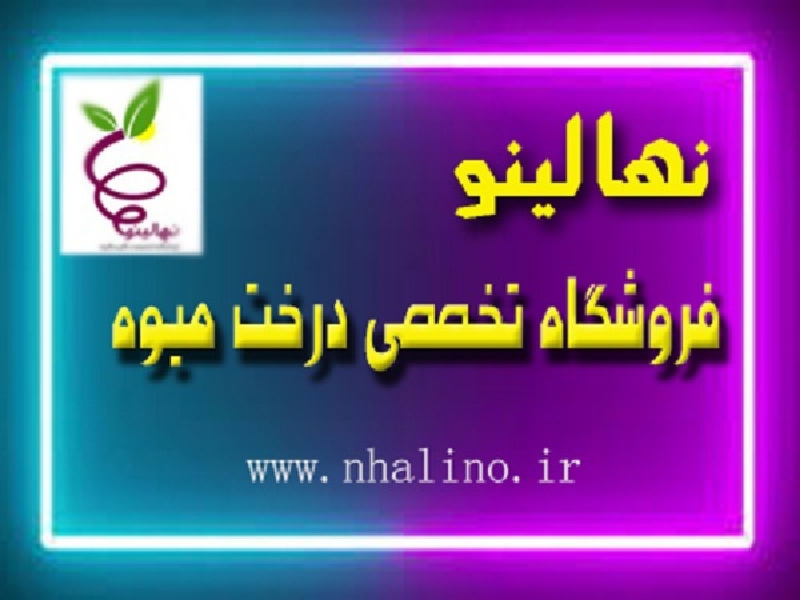 Seedlings: Specialized store of fruit trees