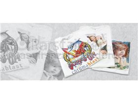 Typical  industrial printing machine  printing (heat  press)