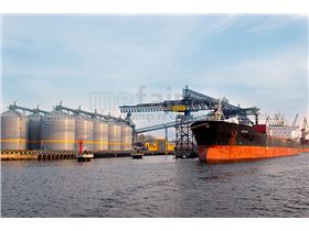 Russian sunflower seeds.