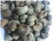 WOOD CHARCOAL , LEAD ORE, CASHEW NUT ALL AGRO PRODUCTS