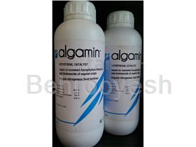 Algamin