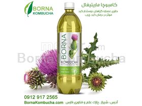 Borna Kombucha Milk thistle