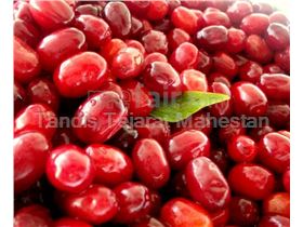 Cornelian Cherry Juice Concentrate