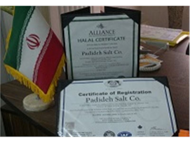 padideh salt compani