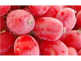 Barberry Juice Concentrate, packed in 265 kg metal drums