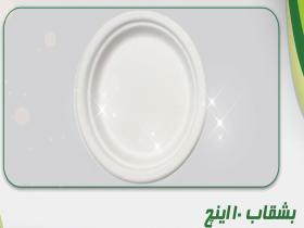 10 düymlük boşqab