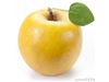 Export of apple juice concentrate to Russia & Armenia