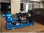 Engine driven (Diesel) FIRE Pump