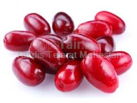 TTMFOOD Cornelian Cherry Juice Concentrate