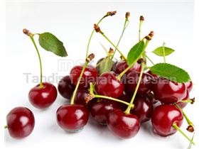 TTMFOOD Sour cherry juice concentrate