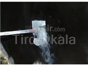 Freeze branding digits