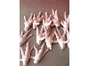chicken feet