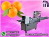 Orange packing machine
