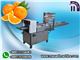 Orange packing machine