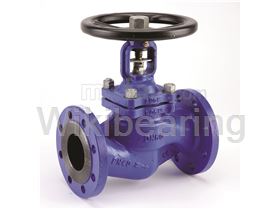 Globe Valve Iran