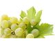 White grape juice concentrate