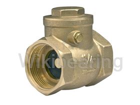 Check Valve Iran