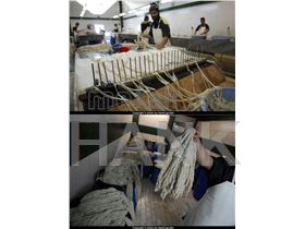 Beef casing , Beef penis ,  Beef testicle , Beef omasum