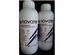 Novater