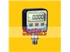 Digital Pressure Test Gauge, Model : Lab Dmm
