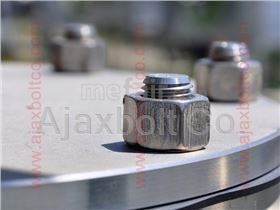 Flange connections and stud bolts